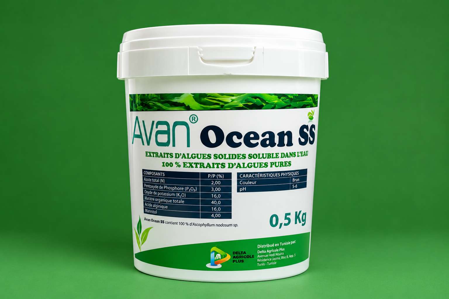 Avan Ocean SS